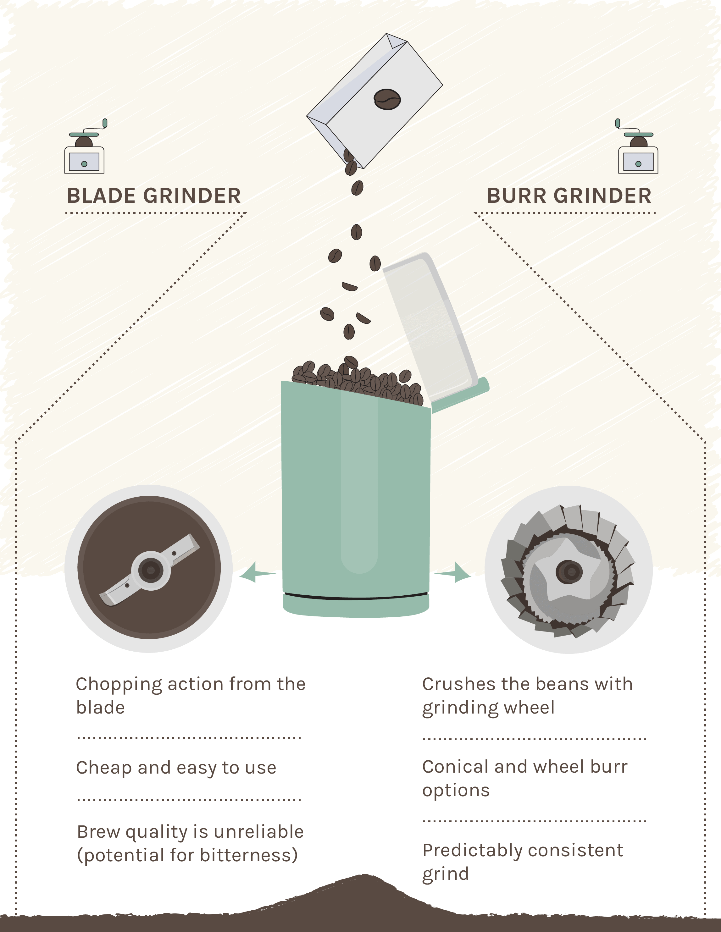 Burr vs Blade Coffee Grinders Key Differences (Guide With Infographic