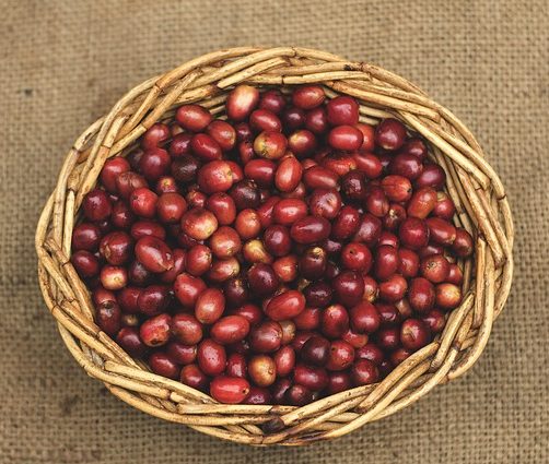 best sumatran coffee beans basket