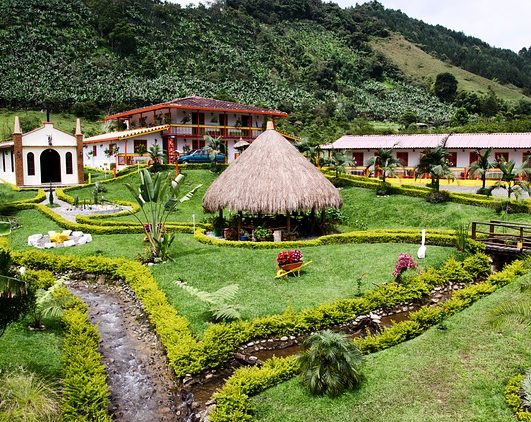 best colombian coffee brands plantation