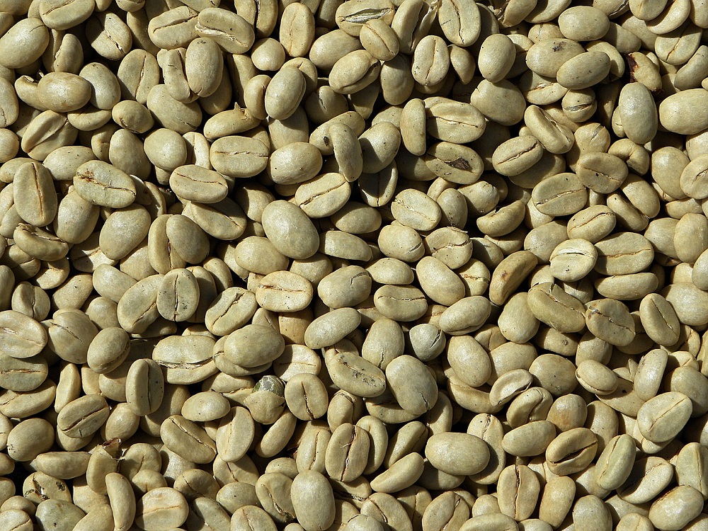 How Long Do Green Coffee Beans Last Coffee Affection