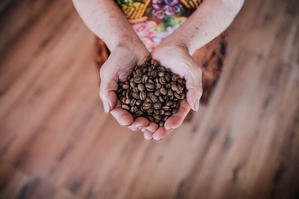 high-quality coffee beans