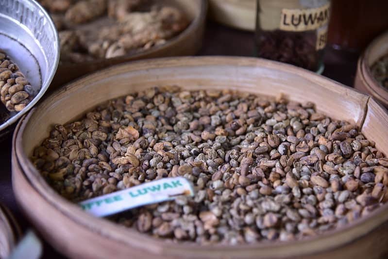 What Is Kopi Luwak? The Disturbing Story of Cat Poop Coffee | Coffee