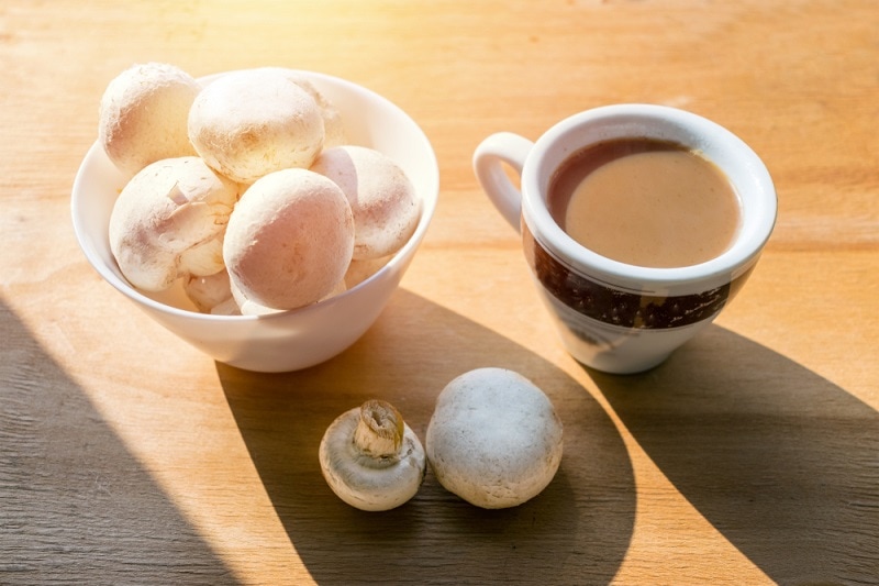 Mushroom Latte Coffee with Milk and Espresso_alp aksoy_shutterstock