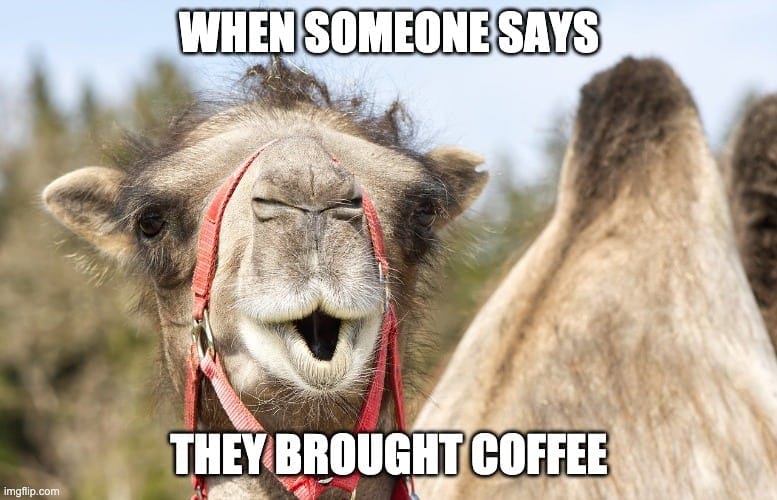 Wednesday Coffee Memes Hilarious Hump Day Jokes Coffee Affection