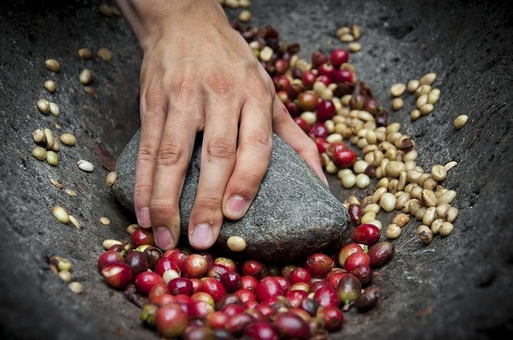 coffee beans