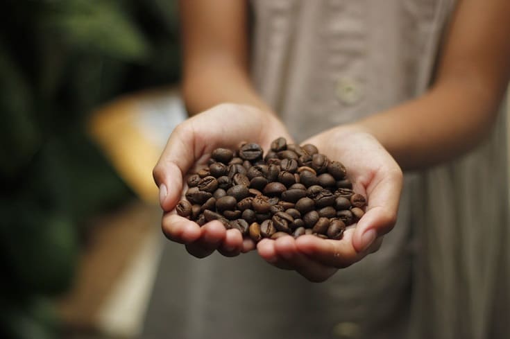 Where Do Coffee Beans Come From? Seed to Cup! - Coffee Affection
