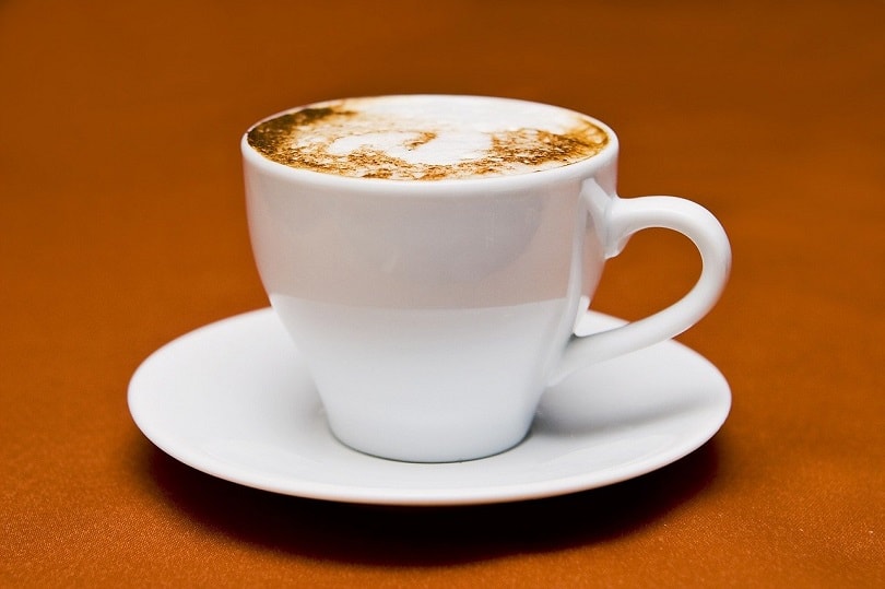 cappuccino-pixabay