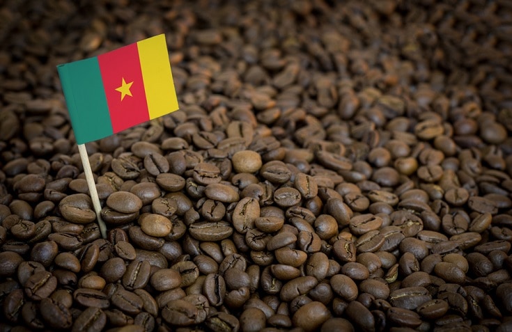 Cameroon coffee