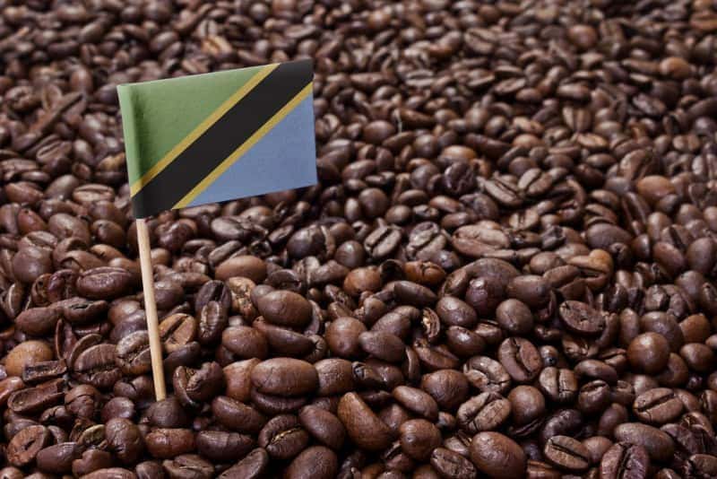 tanzanian peaberry coffee