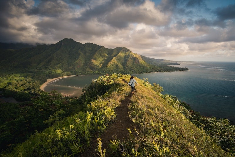 Hawaiian landscape