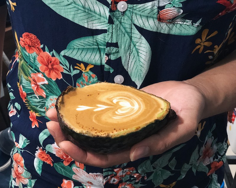 avocado latte