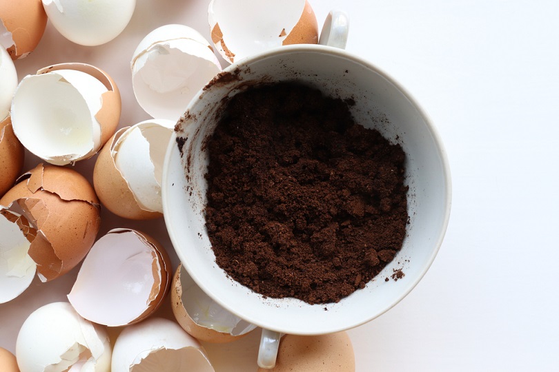 Used-coffee-grounds-and-eggshells_Juver_shutterstock