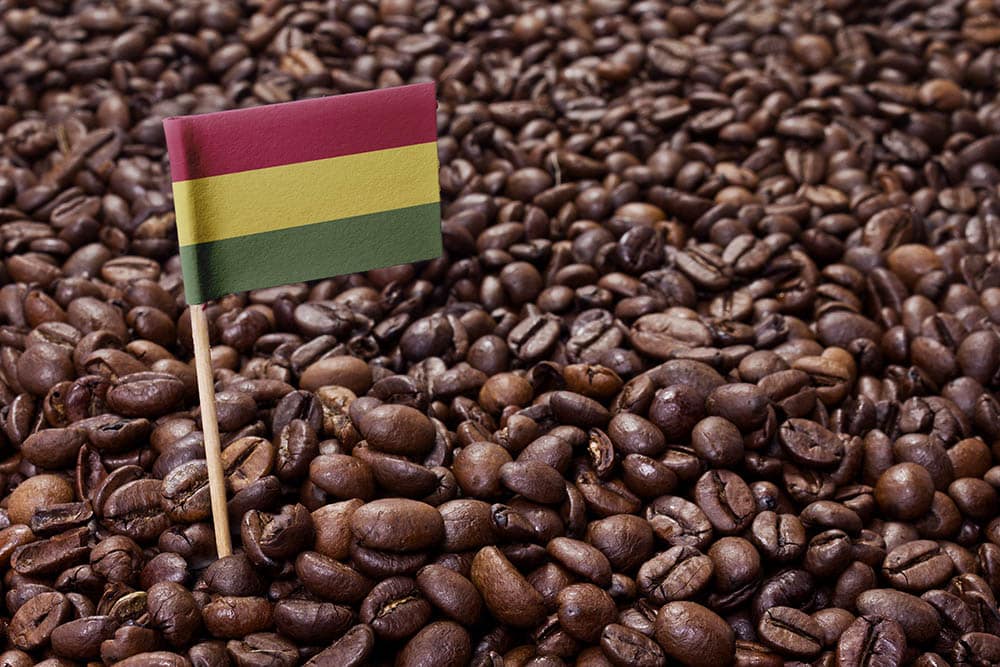 Bolivia flag in coffee beans