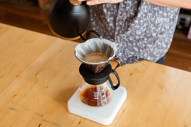 barista pouring hot water