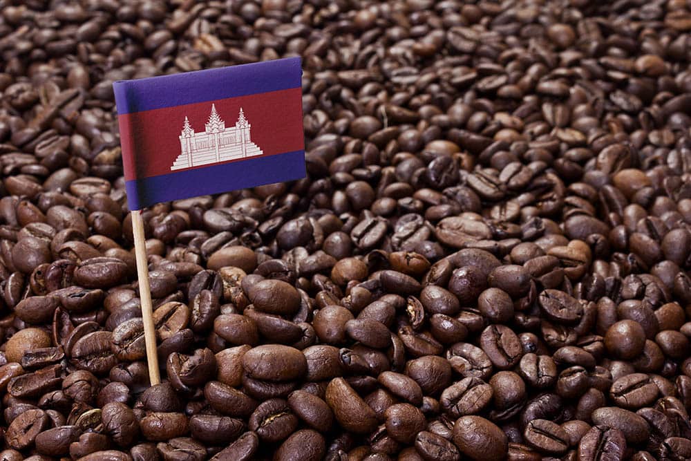 cambodia flag in coffee beans