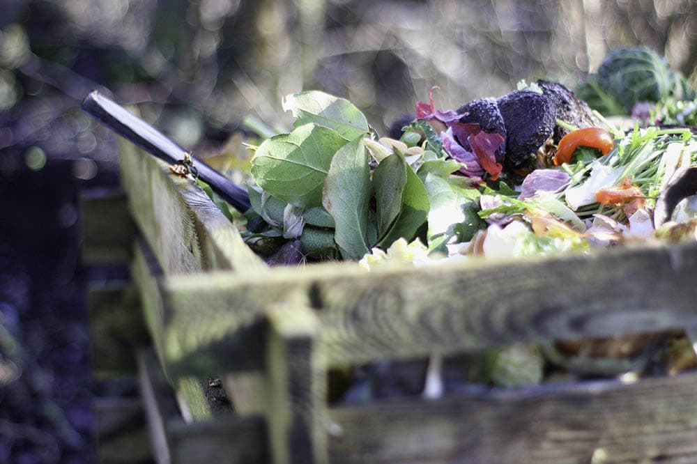 Can You Put Coffee Grinds in a Compost Pile? Expert Tips Coffee Affection