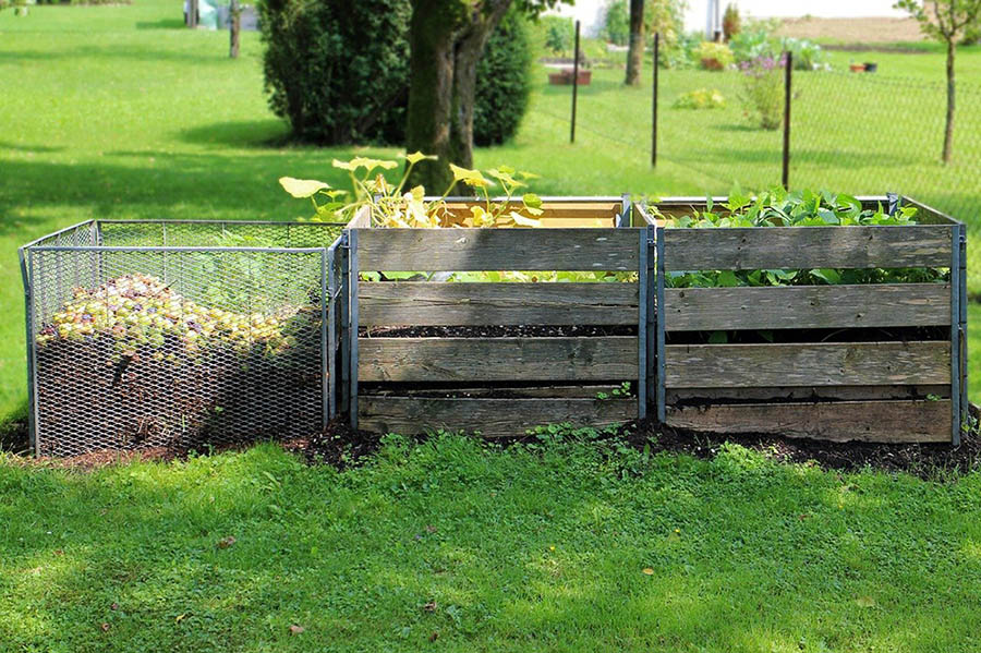 compost pile