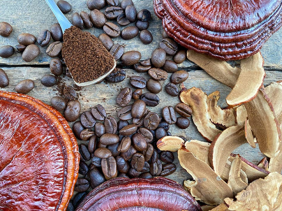 Ganoderma coffee