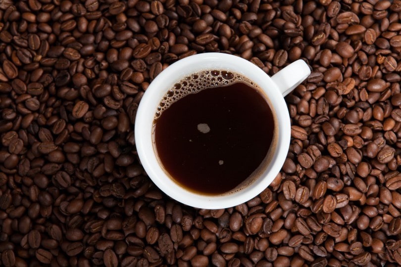 white cup of coffee on a coffee beans background