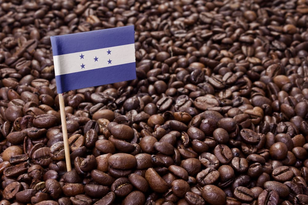Flag of Honduras sticking in roasted coffee beans.