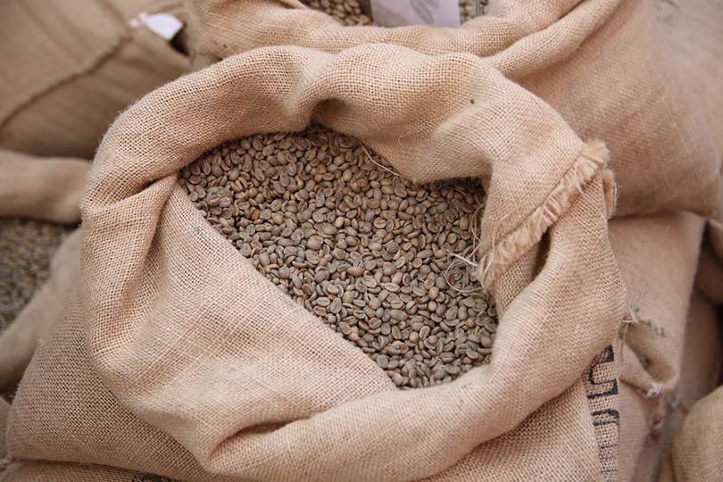 coffee beans in sacks
