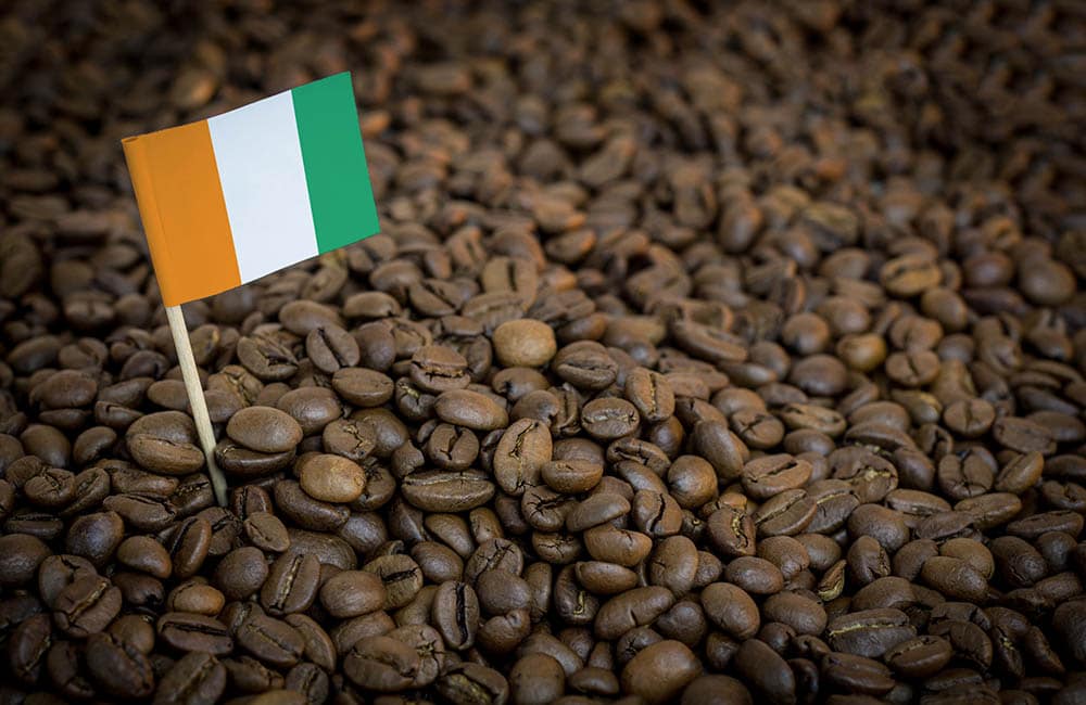 Ivory Coast coffee