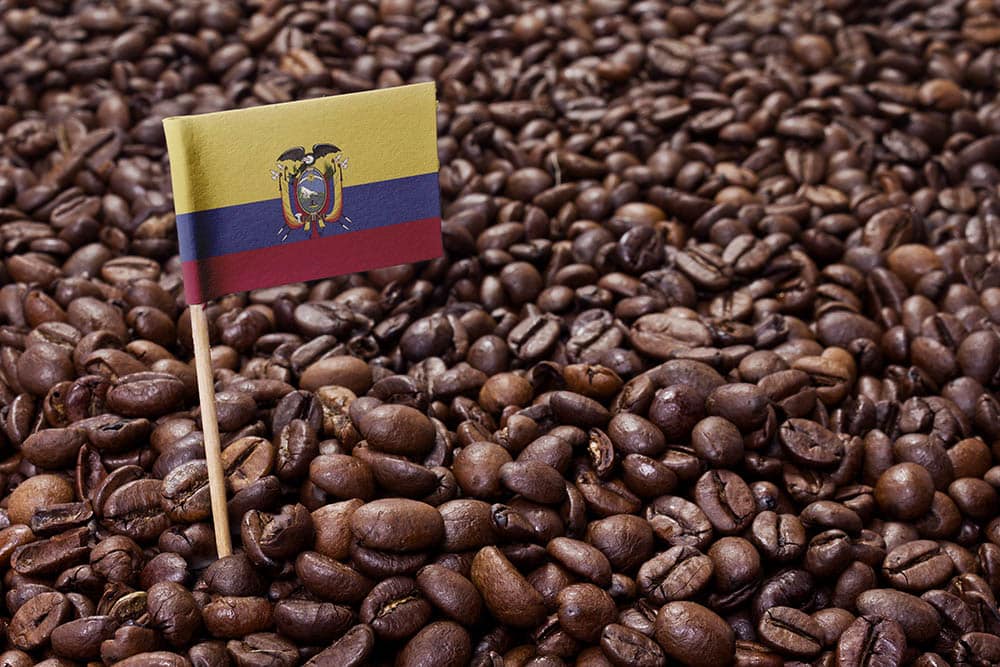 Ecuadorian coffee beans