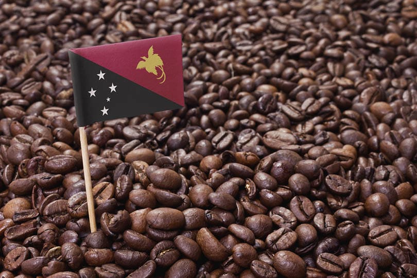 flag of Papua New Guinea sticking in roasted coffee beans