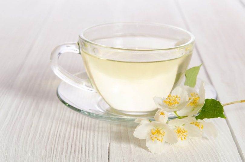 glass cup of white tea with jasmine