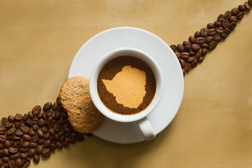 a cup of coffee with map of Zimbabwe