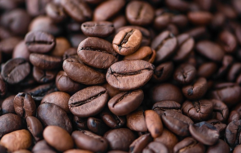 grãos de café arábica
