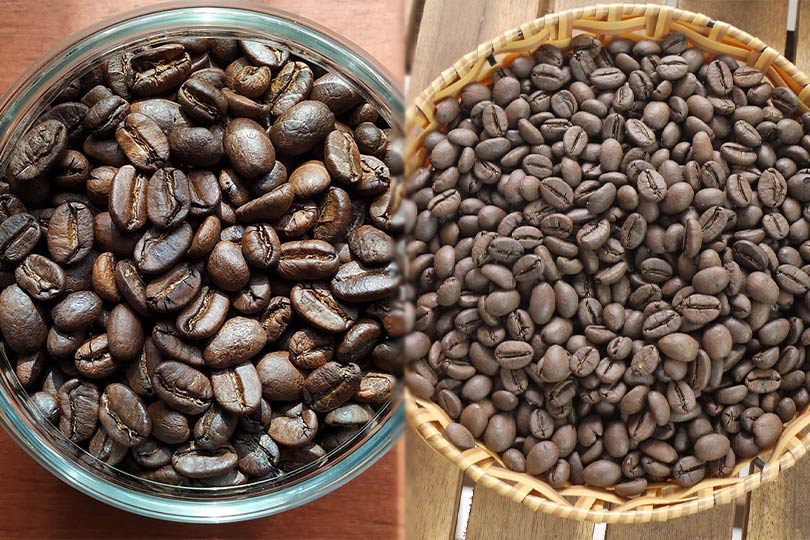 arabica vs robusta coffee beans