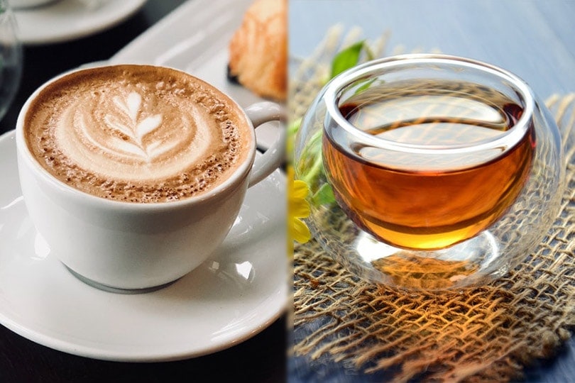 Coffee Vs Tea Which Drink Is Healthier Pros And Cons Of Each Option Coffee Affection 