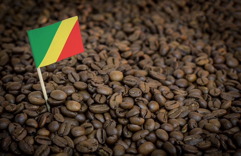 congo flag sticking in roasted coffee beans