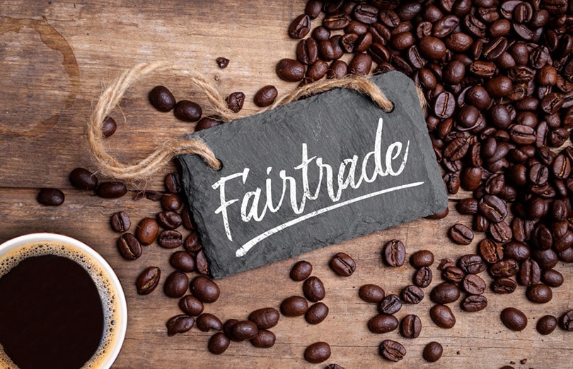 what-does-fair-trade-coffee-really-mean-coffee-pouring