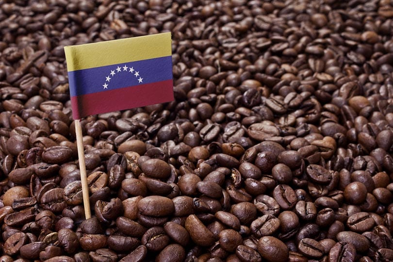 flag of Venezuela sticking in roasted coffee beans