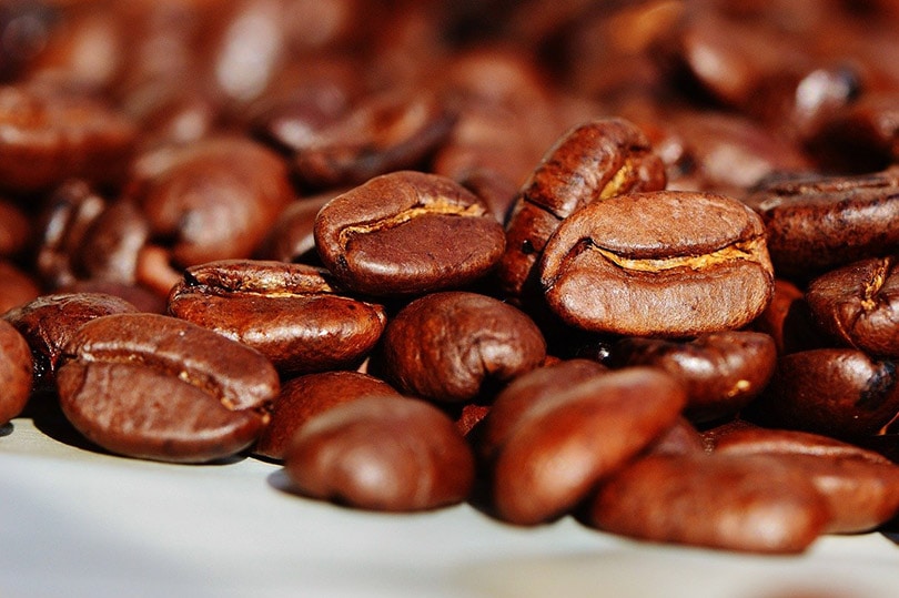 roasted coffee beans