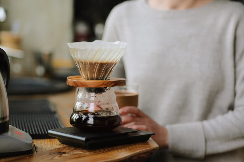 cropped woman brewing a coffee