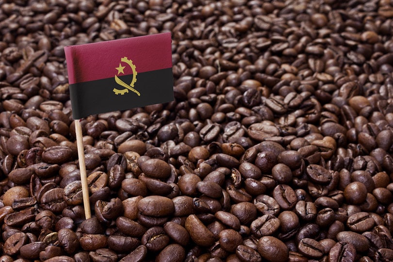 flag of angola sticking in roasted coffee beans