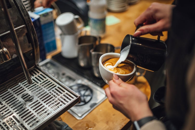 barista making coffee in coffee shop