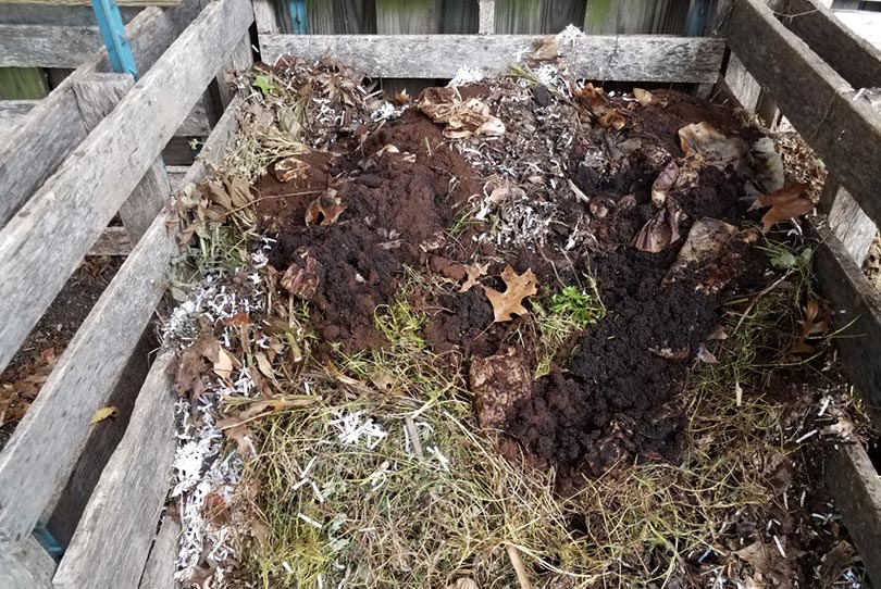compost pile with dirt and coffee grounds and filters