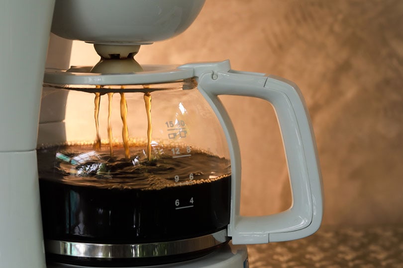 pingando café dentro da cafeteira