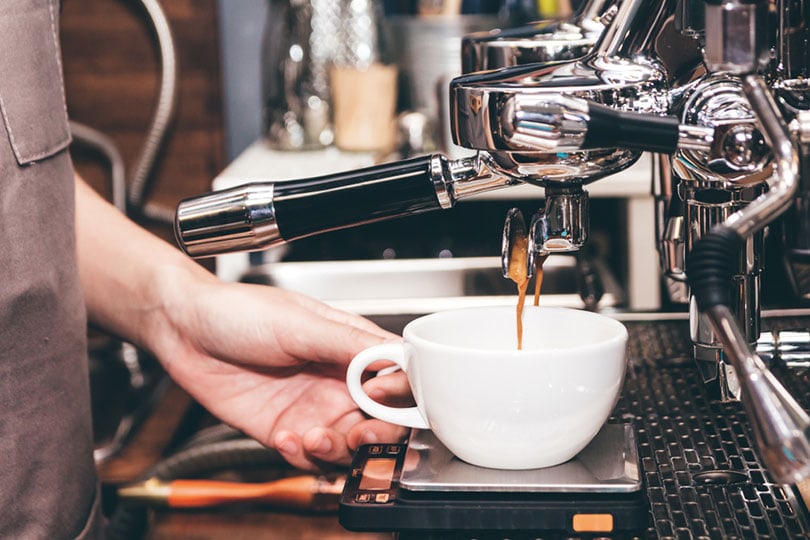 female barista using coffee machine for making coffee in the cafe