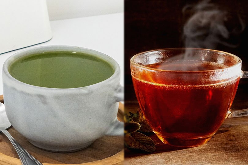 green tea vs black tea