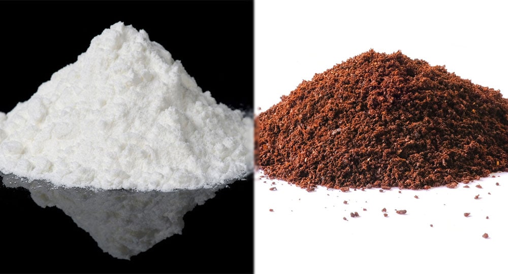 theobromine vs caffeine