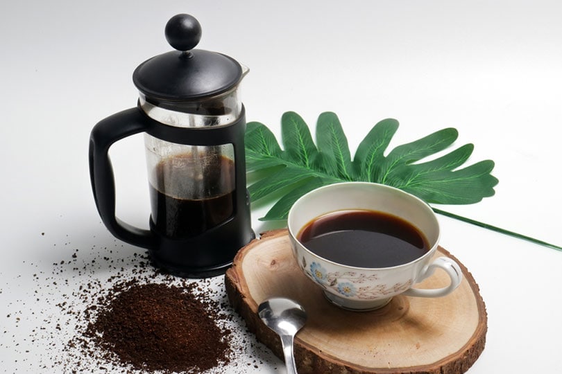 french press coffee with cup of coffee spoon and coarse coffee powder