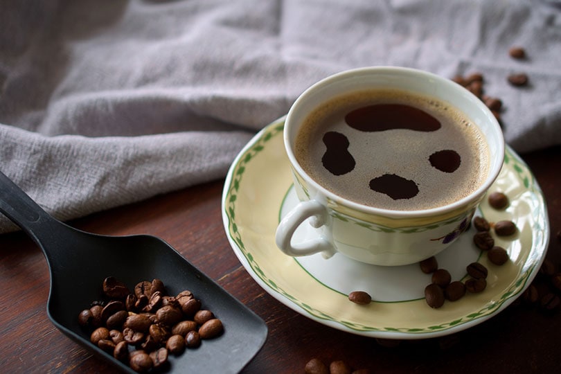 carnival cruise jamaican coffee recipe