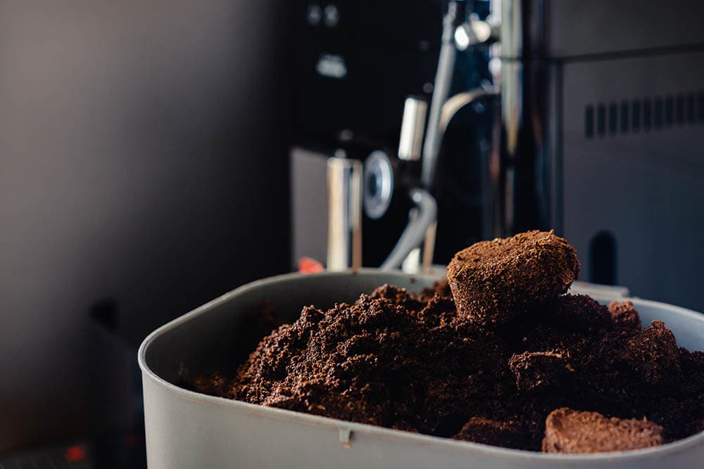 Are Coffee Grounds Good for Tomato Plants?