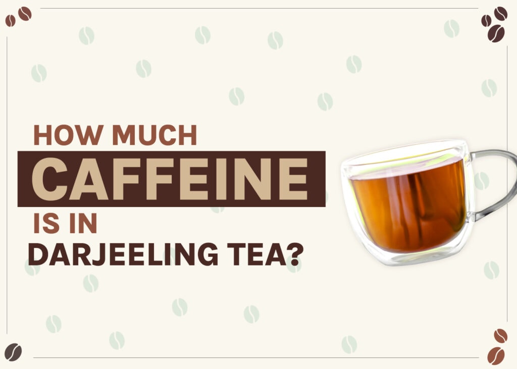 how-much-caffeine-is-in-darjeeling-tea