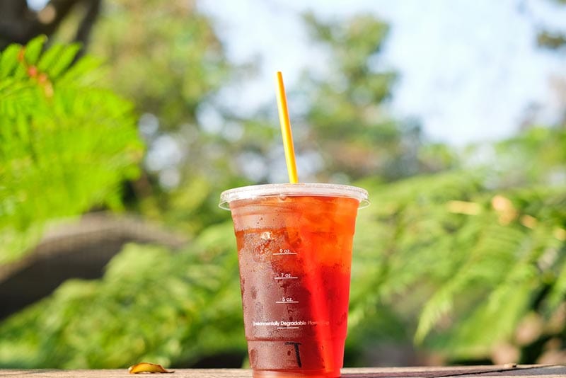 fresh iced tea in plastic container